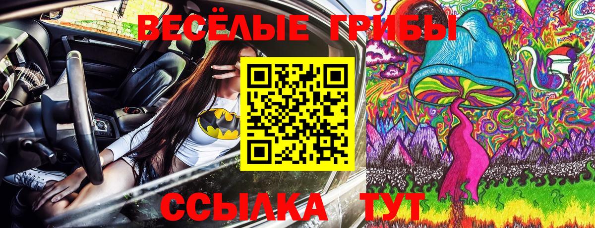 Нижнекамск  Галлюциногенные грибы ЛСД  Вход с VPN  цены   Псилоцибиновые грибы Magic Shrooms 